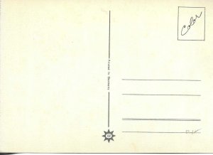 Poodle dog Modern German photo postcard 19870s