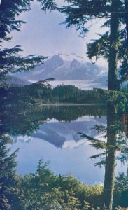 USA Mendenhall Through The Trees Alaska Chrome Postcard 08.20