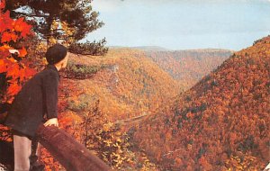 Pennsylvania's Grand Canyon 10 miles from Wellsboro - Wellsboro, Pennsylvania PA