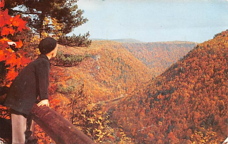 Pennsylvania's Grand Canyon 10 miles from Wellsboro - Wellsboro, Pennsylvania...