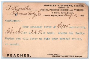 1895 Moseley & Stevens Limited Grand Rapids Michigan MI Posted Postal Card 