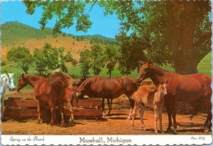 Postcard MI Marshall horses - Spring on the Ranch