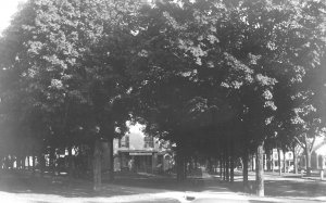 Brandin VT Free Public Library Street View Real Photo Postcard