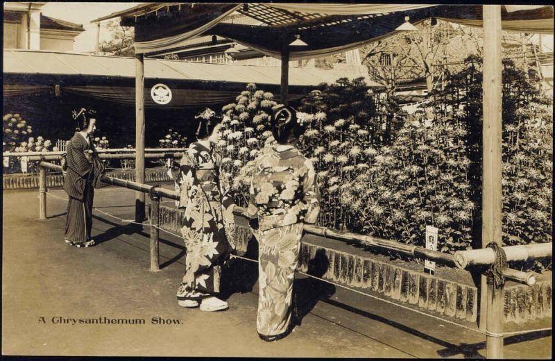 japan, GEISHA Ladies Kimono Ghrysanthemum Show 30s RPPC