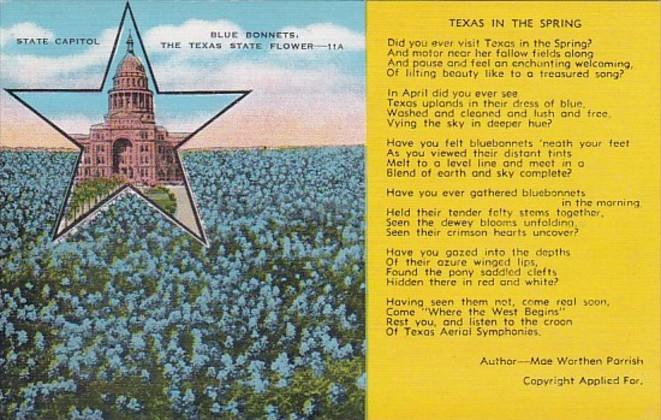 Texas State Capitol & State Flower Texas In The Spring By Mae Worthen Par...