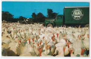 Pinehave Farms Inc, Canandaigua NY