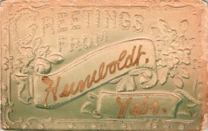 Nebraska Greetings From Humboldt Embossed 1910