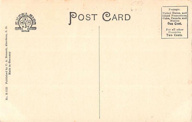 Aberdeen South Dakota Alexander Mitchell Library Antique Postcard