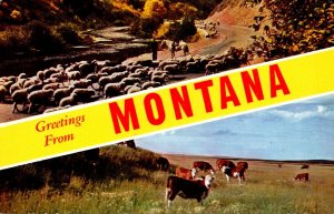 Montana Greetings From Montana