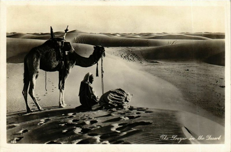 CPA Lehnert & Landrock 185 The Passage in the Desert EGYPT (917366)