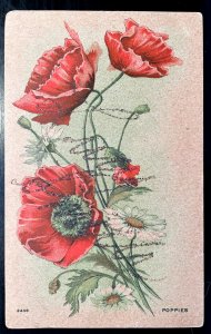 Vintage Victorian Postcard 1901-1910 - Poppies
