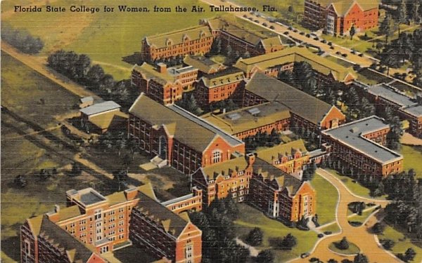 Florida State College for Women from the Air