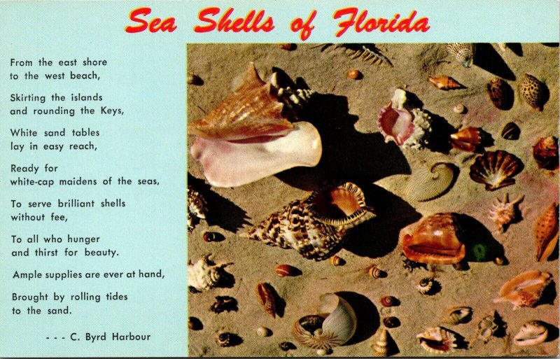 Sea Shells Florida FL Beach Sand Poem Dual View Postcard UNP VTG Unused