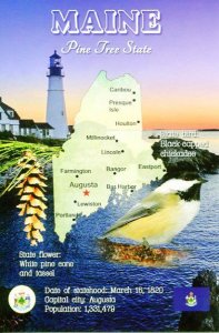 MAINE Map Postcard - The Pine Tree State -  State Symbols