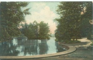 Brooklyn NY Lake in Prospect Park Postcard Litho Postcard Unused