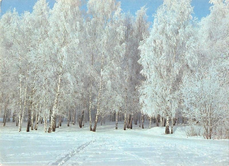 BT11334 Russie winter landscape      Russia