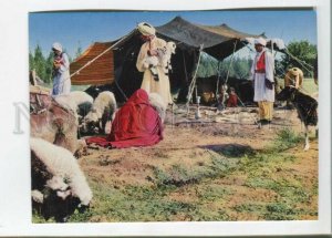 471032 Afghanistan Nomade camp tourism advertising Old postcard