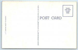 RAY WALTERS Everyday Comics No Hunting License Required Swatting Fly Postcard