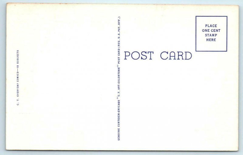 RAY WALTERS Everyday Comics No Hunting License Required Swatting Fly Postcard