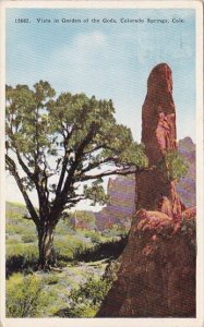 Colorado Colorado Springs Vista In Garden Of The Gods 1930