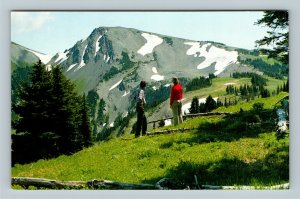 Olympic National Park, Mountains Obstruction Point, Washington Vintage Postcard