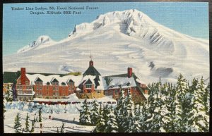 Vintage Postcard 1930-45 Timber Line Lodge Mt Hood National Forest Sandy Oregon