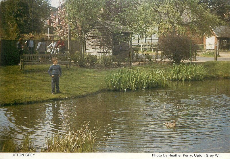 UK Postcard picturesque Upton Grey village pond ducklings