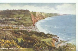 Devon Postcard - Sidmouth from Peak Hill - Ref 20123A