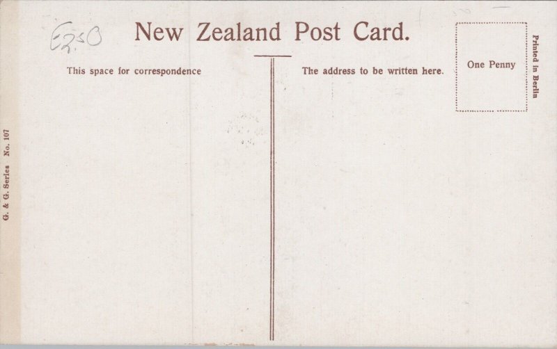 New Zealand Wellington Kelburn Tea Kiosk And Cable Tram Vintage Postcard C356