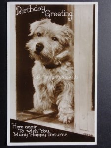 DOGS: Puppy BIRTHDAY GREETINGS - MANY HAPPY RETURNS c1942 RP