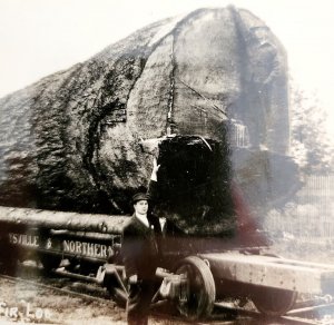 RPPC Washington Douglas Fir Tree Log On Rail Car Railroad Ellis 1920-30s  PCBG6A