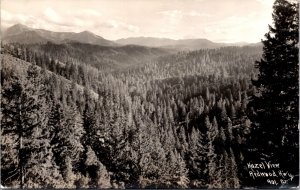 Patterson Real Photo Postcard Hazel View The Redwood Highway California