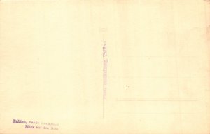 A086 Estonia Tallin Vaade Toompeare Swans Lake Houses trees vintage postcard