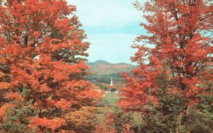 Vintage Postcard Autumn Fall View Foothills Of Mt. Mansfield Stowe Vermont VT