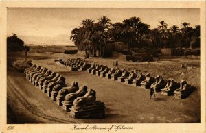 CPA Lehnert & Landrock 1515 Karnak - Avenue of Sphinxes EGYPT (917171)