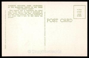 Yosemite National Park, California