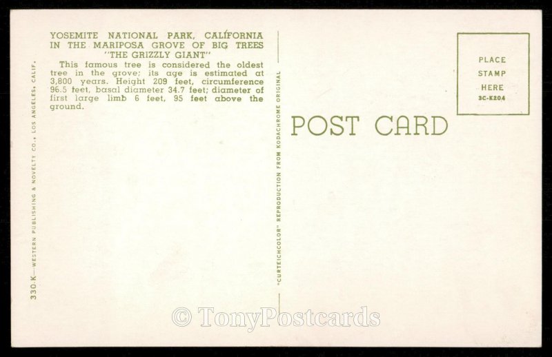 Yosemite National Park, California