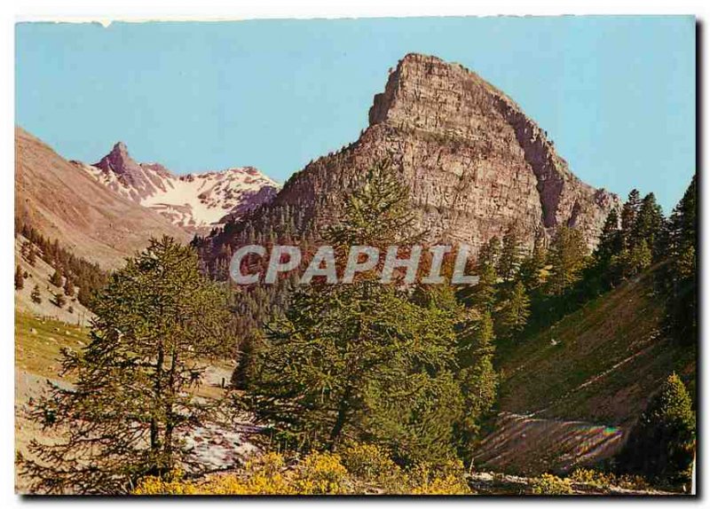 Old Postcard Alpes de Haute Provence La Tour des Sagnes