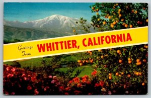 Greetings From  Whittier  California   Postcard   1962