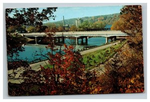 Vintage 1960 Postcard The Newaygo Centennial Bridge Newaygo Michigan