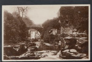 Northumberland Postcard - Old Mill & Bridge, Jesmond Dene, Newcastle RS18325