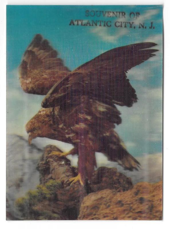 3D Lenticular Hawk Bird of Prey Souvenir Atlantic City NJ