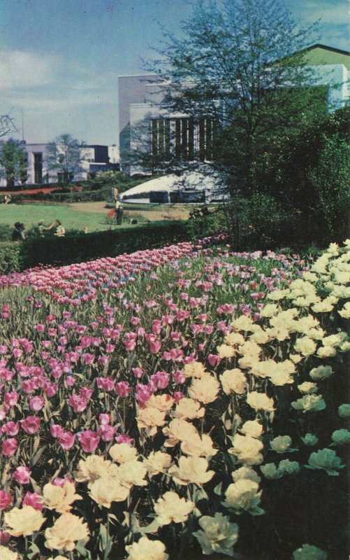 Hurt Park, Atlanta, Ga. Postcard 