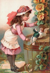 Victorian Trade Card Pretty Girl with Pigeons L1