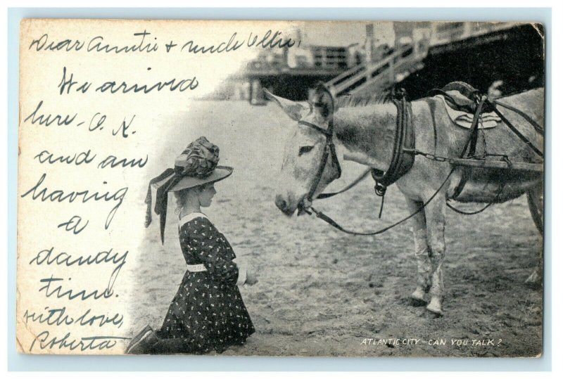 1903 Girl Victorian Hat Donkey Beach Atlantic City New Jersey Posted Postcard 