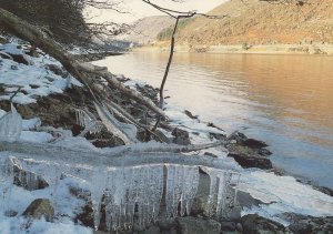 Welsh River Frozen Winter Gaeaf Rare Local Photographer Postcard