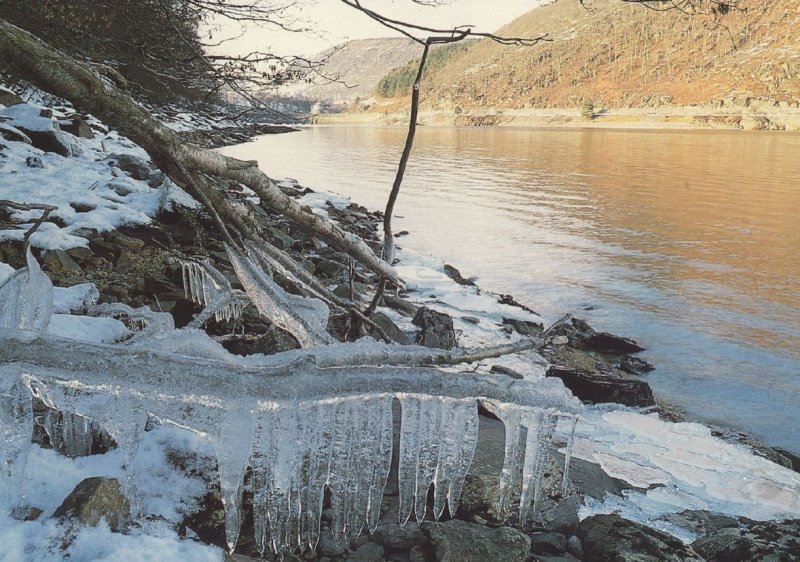 Welsh River Frozen Winter Gaeaf Rare Local Photographer Postcard