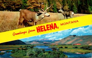 Montana Greetings From Helena Split View Montana Deer and Rivers