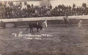 Mexico Juarez Introducing The Bull RPPC