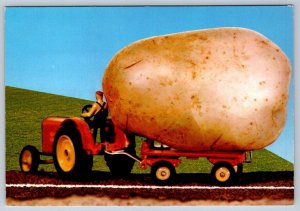 Exaggerated Potato, Tractor & Trailer, Prince Edward Island Chrome Postcard, NOS